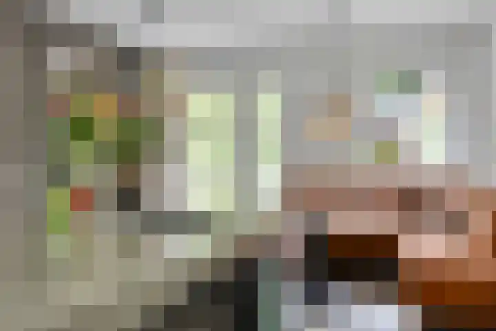 Donauring 190 Drunen thumbnail 19