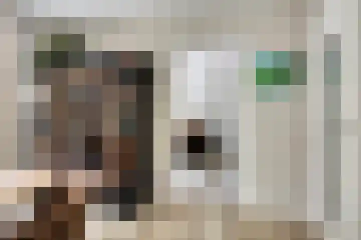 Donauring 190 Drunen thumbnail 21