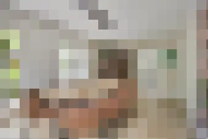 Donauring 190 Drunen thumbnail 22