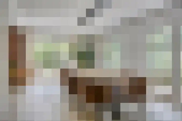 Donauring 190 Drunen thumbnail 23