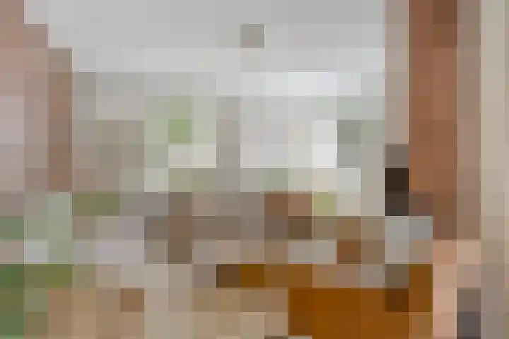 Donauring 190 Drunen thumbnail 24