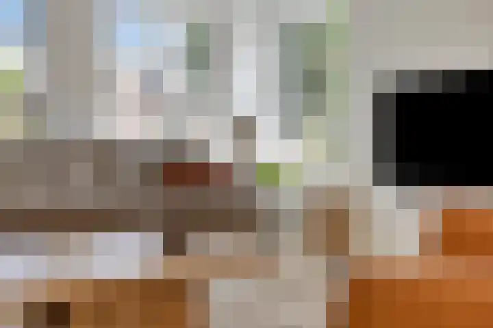 Donauring 190 Drunen thumbnail 25