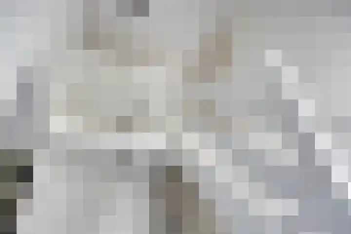 Donauring 190 Drunen thumbnail 29