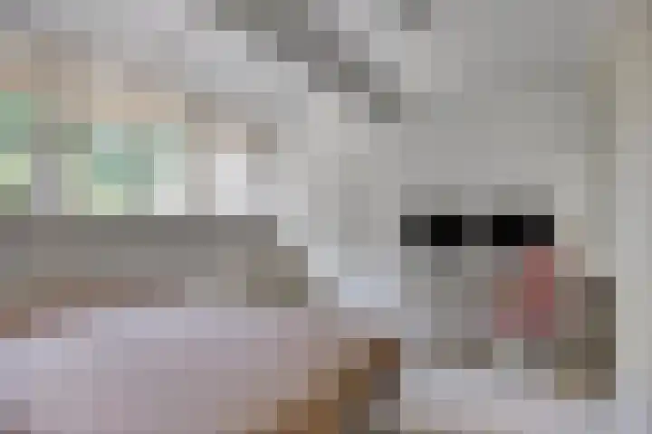 Donauring 190 Drunen thumbnail 37