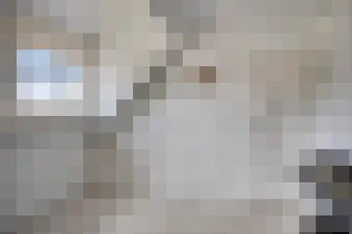 Donauring 190 Drunen thumbnail 45