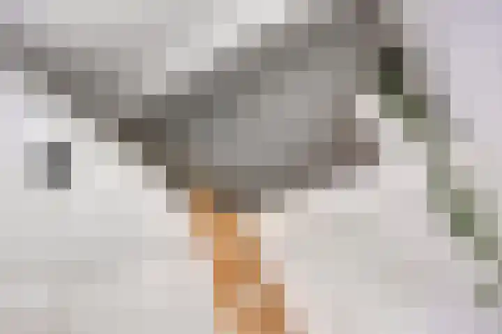 Donauring 190 Drunen thumbnail 46
