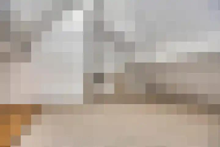 Donauring 190 Drunen thumbnail 47
