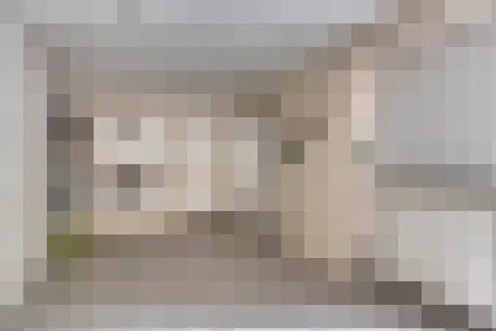 Donauring 190 Drunen thumbnail 50