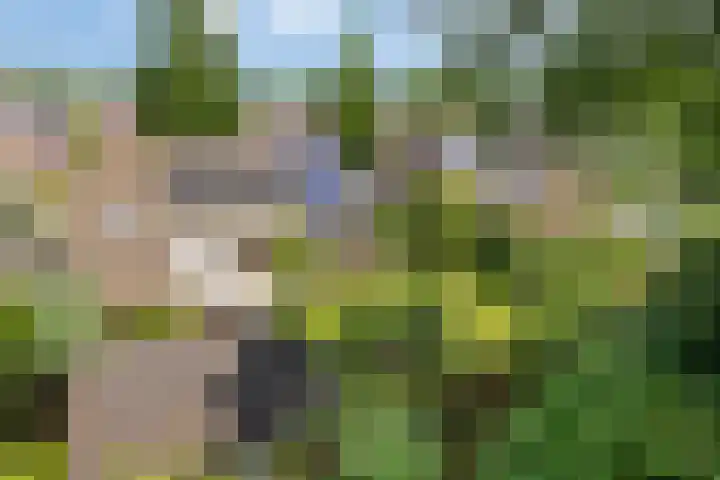 Donauring 190 Drunen thumbnail 55