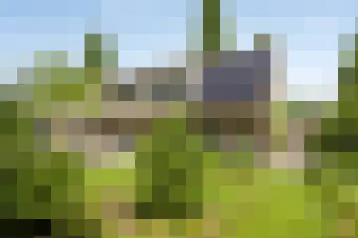 Donauring 190 Drunen thumbnail 56