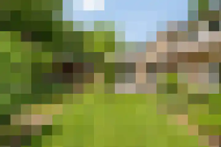 Donauring 190 Drunen thumbnail 57