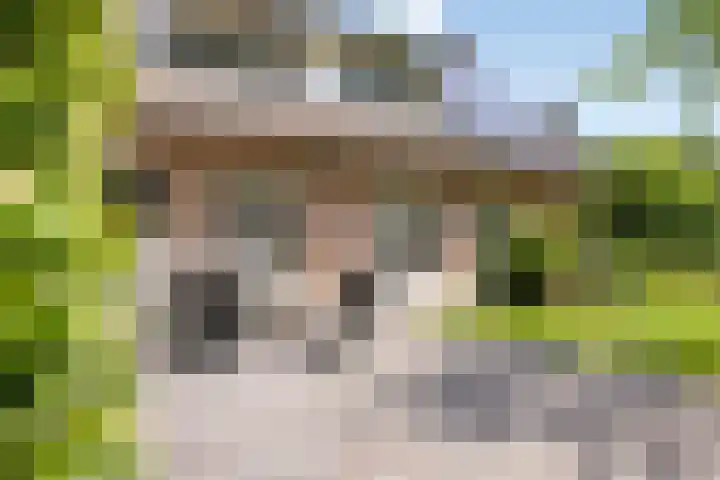 Donauring 190 Drunen thumbnail 59