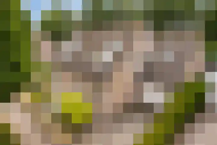 Donauring 190 Drunen thumbnail 6