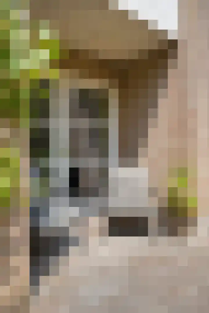 Donauring 190 Drunen thumbnail 60