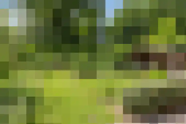 Donauring 190 Drunen thumbnail 61