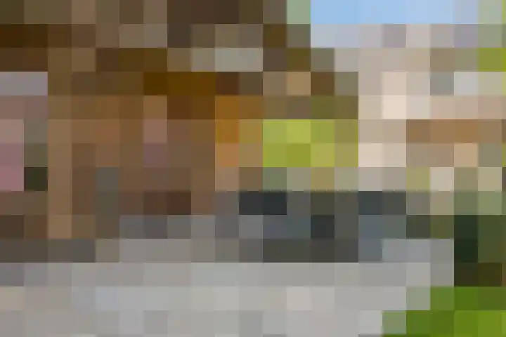 Donauring 190 Drunen thumbnail 62