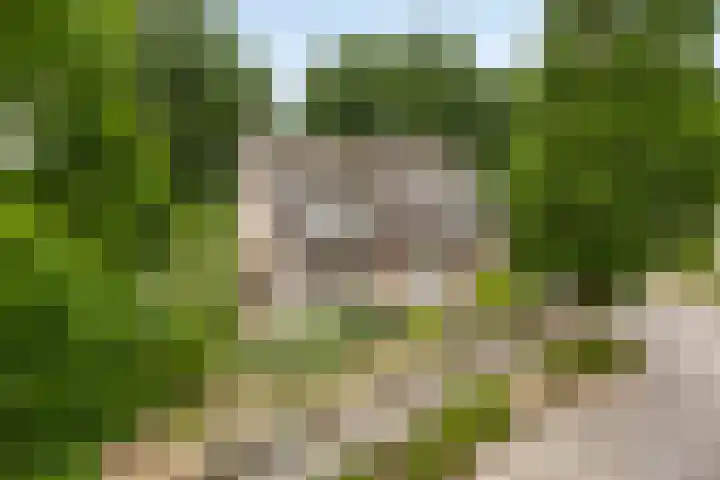 Donauring 190 Drunen thumbnail 63