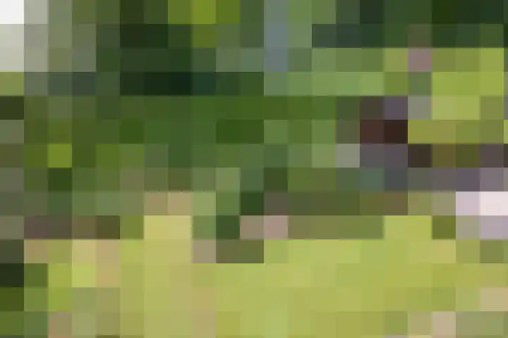 Donauring 190 Drunen thumbnail 64