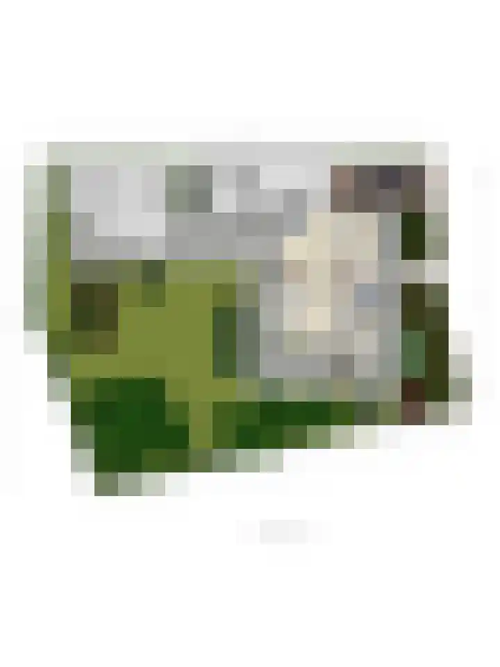 Donauring 190 Drunen thumbnail 65