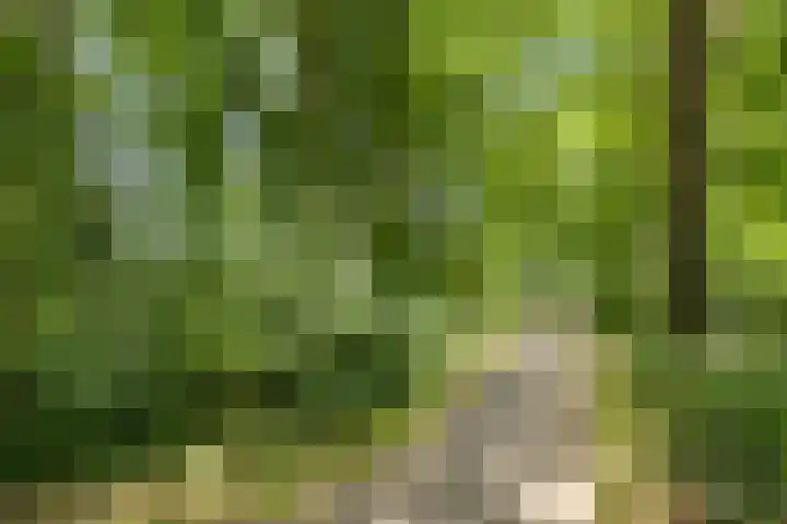 Donauring 190 Drunen thumbnail 66