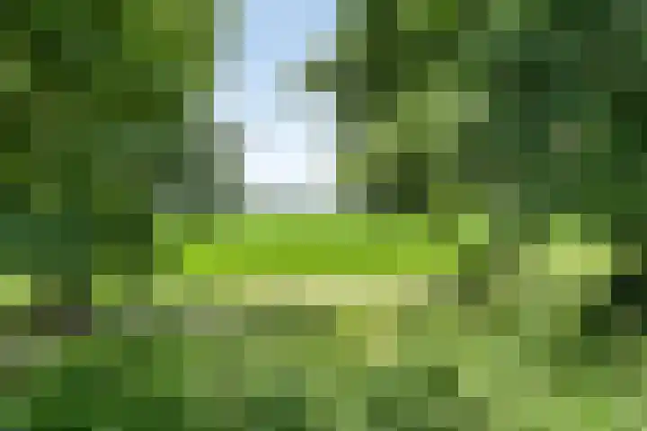 Donauring 190 Drunen thumbnail 67