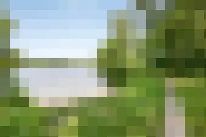 Donauring 190 Drunen thumbnail 68