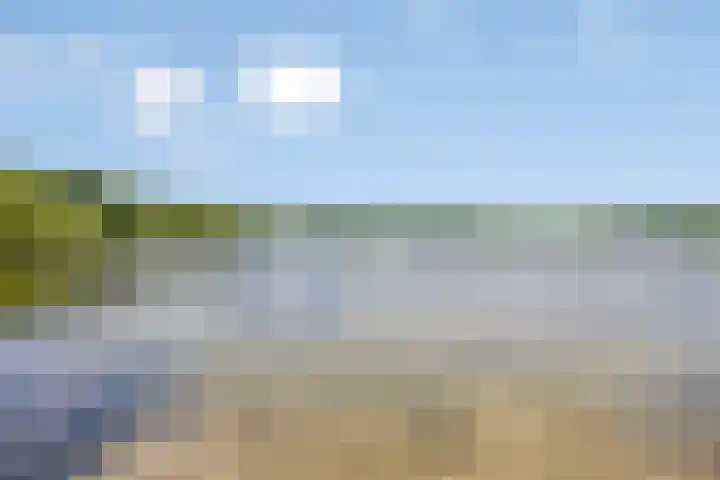 Donauring 190 Drunen thumbnail 69