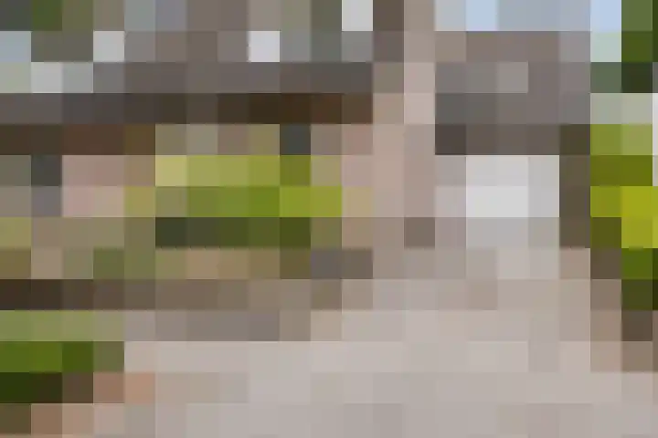 Donauring 190 Drunen thumbnail 7