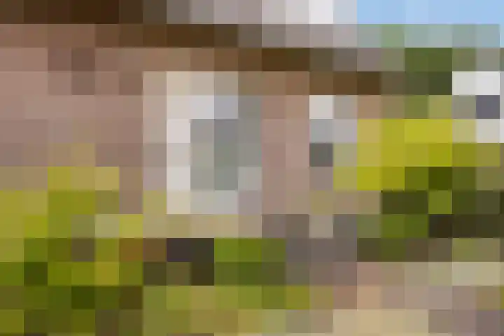 Donauring 190 Drunen thumbnail 9