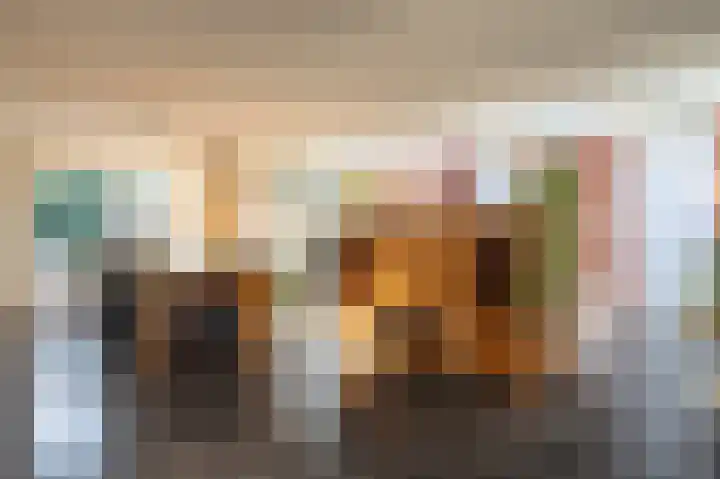 Donauring 202 Drunen thumbnail 11
