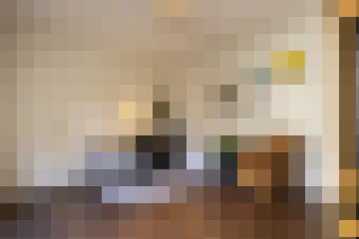Donauring 202 Drunen thumbnail 21