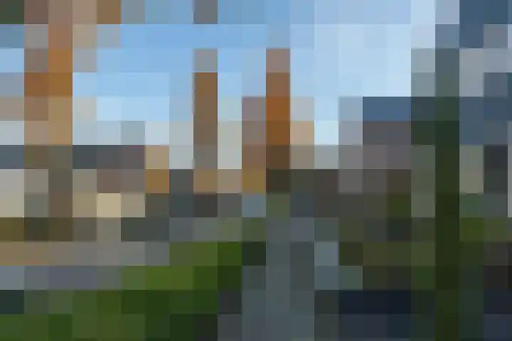 Donauring 202 Drunen thumbnail 43