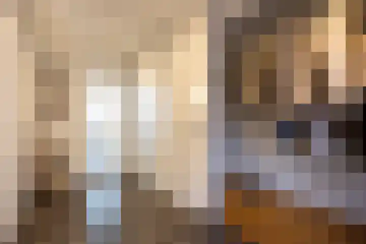Donauring 202 Drunen thumbnail 7