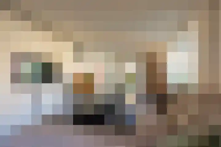 Donauring 202 Drunen thumbnail 9