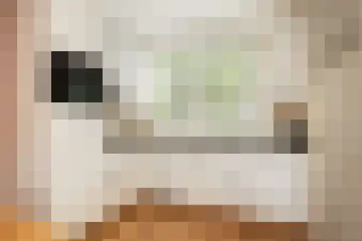 Donauring 225 Drunen thumbnail 17