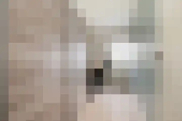 Donauring 225 Drunen thumbnail 27