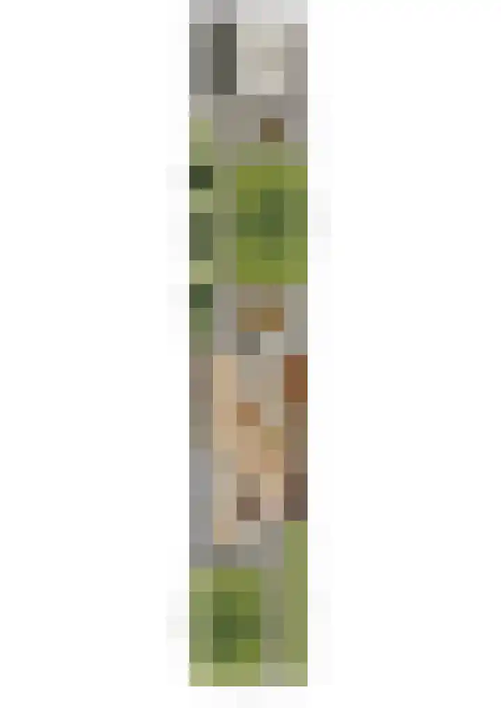 Donauring 225 Drunen thumbnail 40