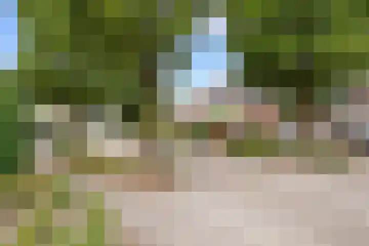 Donauring 225 Drunen thumbnail 6