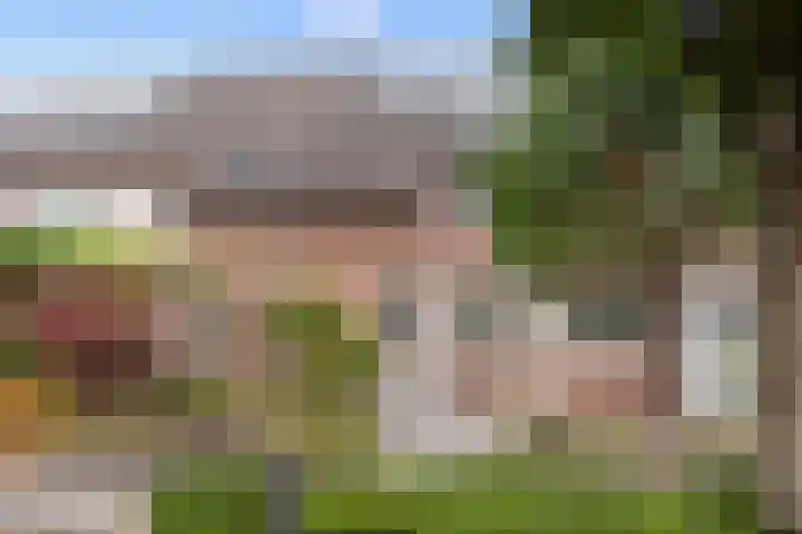 Donauring 225 Drunen thumbnail 7