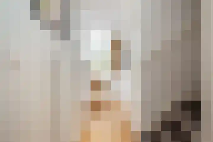Donauring 225 Drunen thumbnail 9