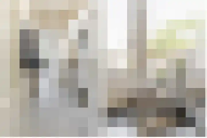 Donauring 227 Drunen thumbnail 10
