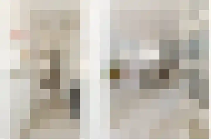 Donauring 227 Drunen thumbnail 11
