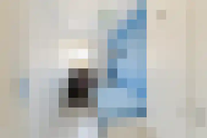 Donauring 227 Drunen thumbnail 20