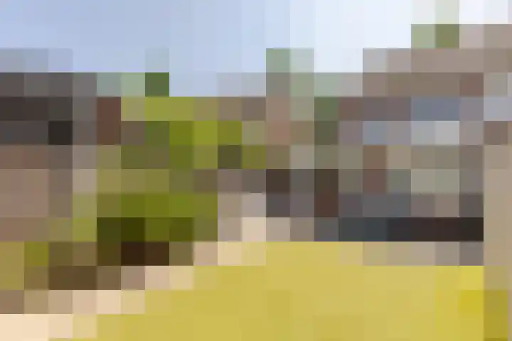 Donauring 227 Drunen thumbnail 30