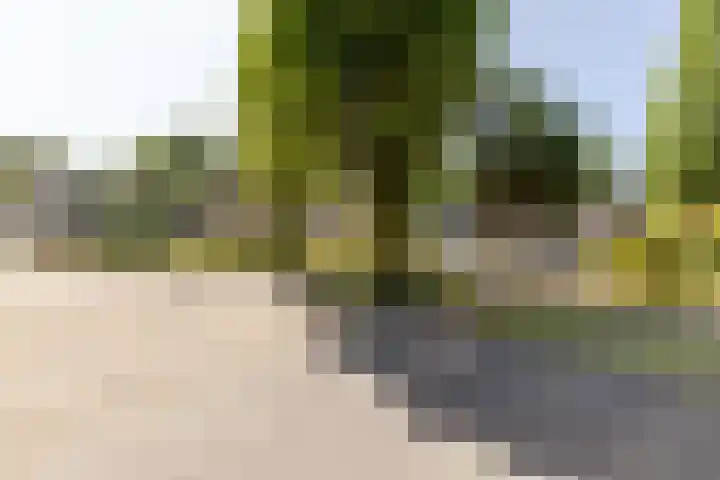 Donauring 227 Drunen thumbnail 41