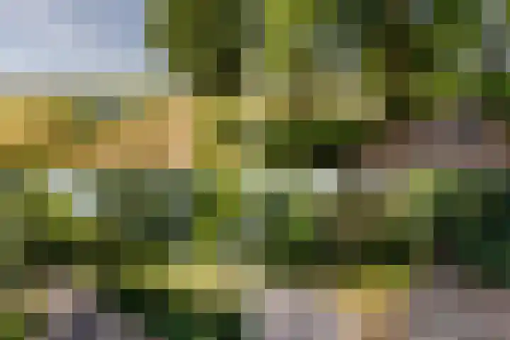 Donauring 227 Drunen thumbnail 42