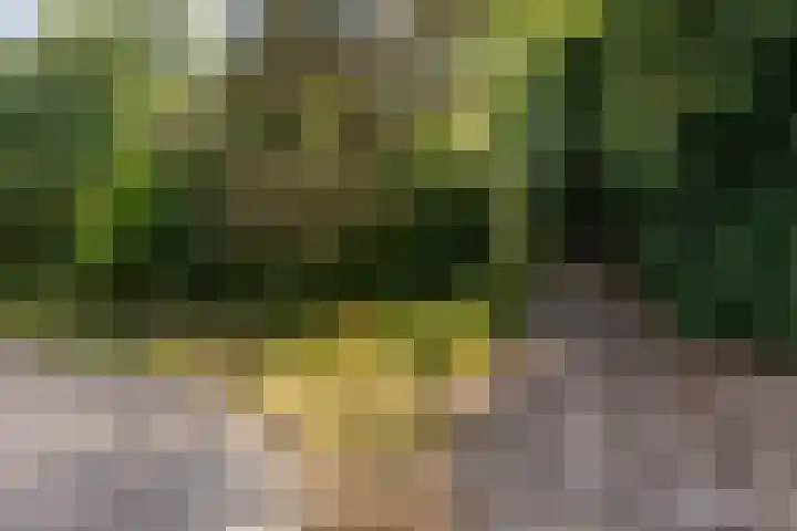 Donauring 227 Drunen thumbnail 43