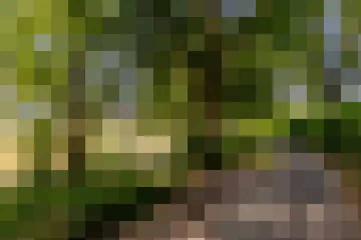 Donauring 227 Drunen thumbnail 45