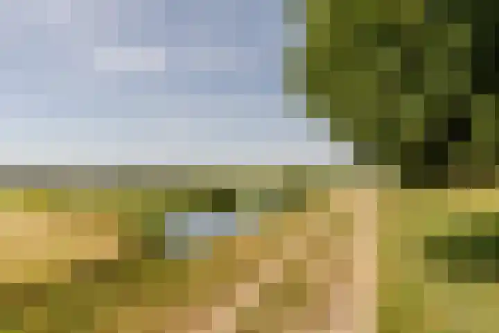 Donauring 227 Drunen thumbnail 46