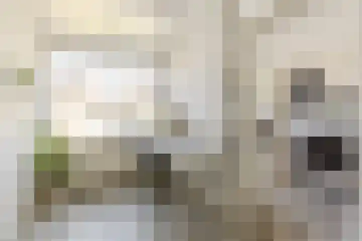 Donauring 227 Drunen thumbnail 5